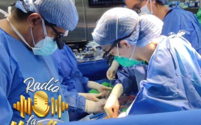 «Criterios y requisitos para ser donante de órganos en Ecuador: Promoviendo la vida a través de la donación»