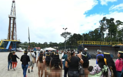 “Al Ministerio de Energía le preocupa aspecto legal” de consulta del Yasuní porque en Orellana “se decidió que continúe la explotación del campo”