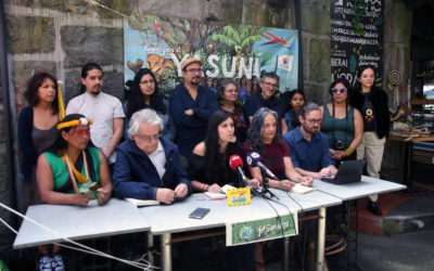 Cinco consultas y referendos entre el 2011 y 2023 que han costado $ 92 millones.