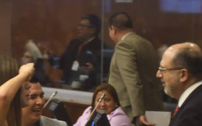 ‘Gobiernista’, ‘ejecutor de la estrategia de Daniel Noboa’ y hasta ‘mano derecha del presidente’: así describen en la Asamblea a Henry Kronfle.