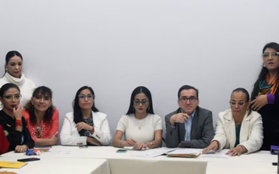 Bancada de la Revolución Ciudadana se inscribirá ante el CNE como oposición al gobierno de Daniel Noboa.