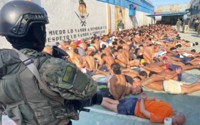 Consulta popular 2024: de ganar el sí, las penas se aumentarían para diez delitos tipificados en el Código Orgánico Integral Penal.