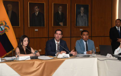 $ 40 millones destinará el Estado para financiar la reducción del 50 % de las planillas eléctricas.