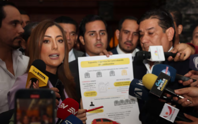 Correísmo pide suspender a asambleísta Lucía Jaramillo por anunciar fiscalización a empresa Copedesa vinculada al alcalde de Guayaquil.