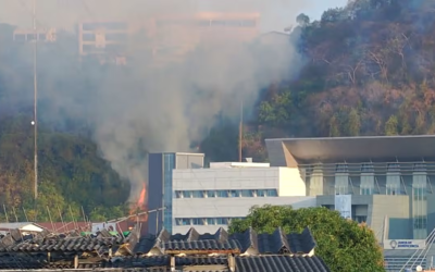 Bomberos combaten incendio en el cerro del Carmen.