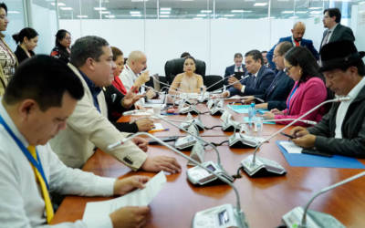 Empieza el trámite del juicio político en contra de la ministra del Interior Mónica Palencia planteado desde el correísmo.